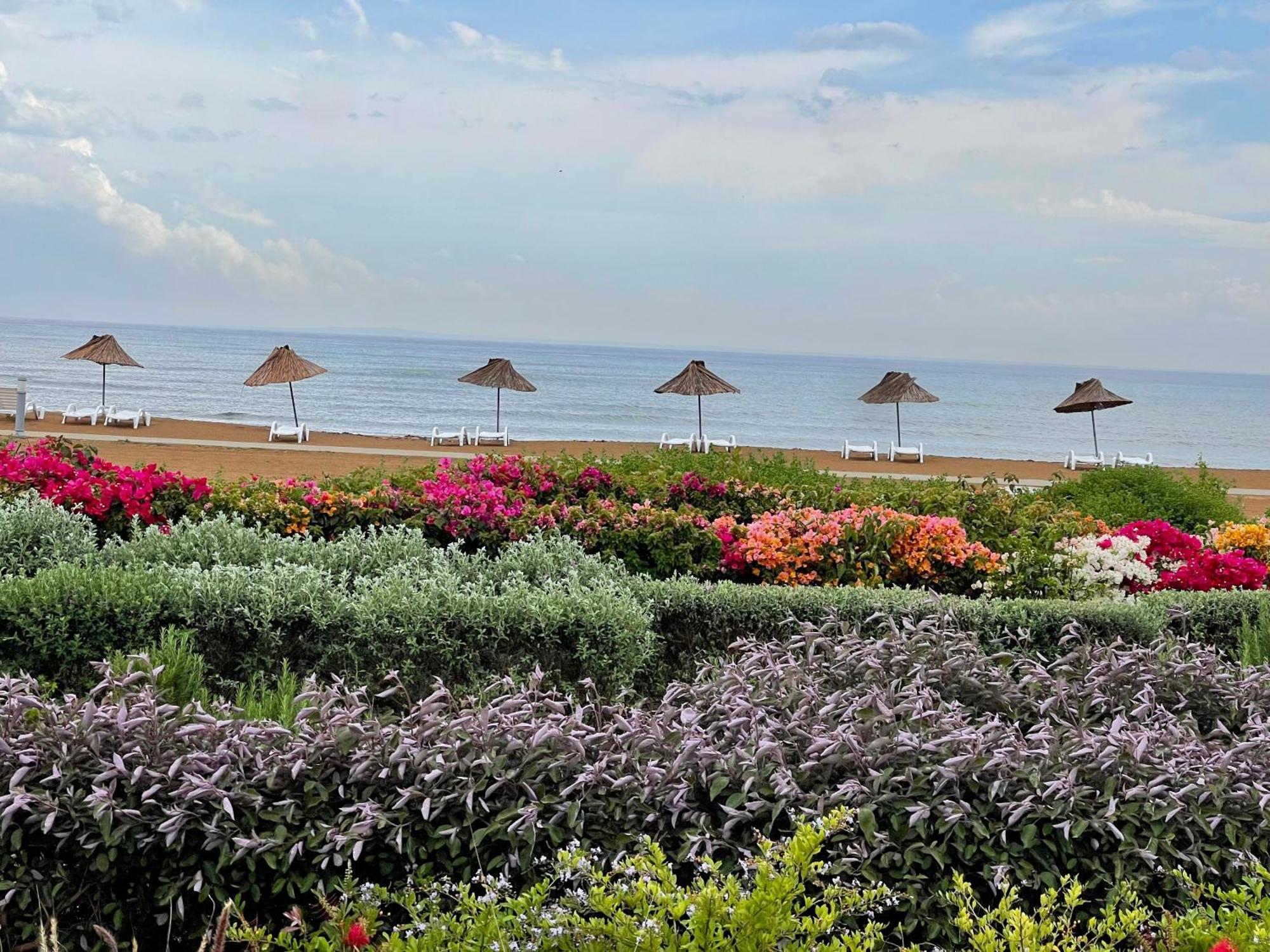 Sweetness Apartment By The Sea Vokolidha エクステリア 写真